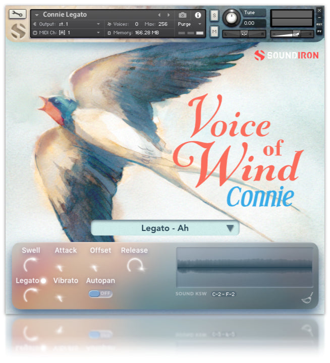 Voice of Wind: Connie
