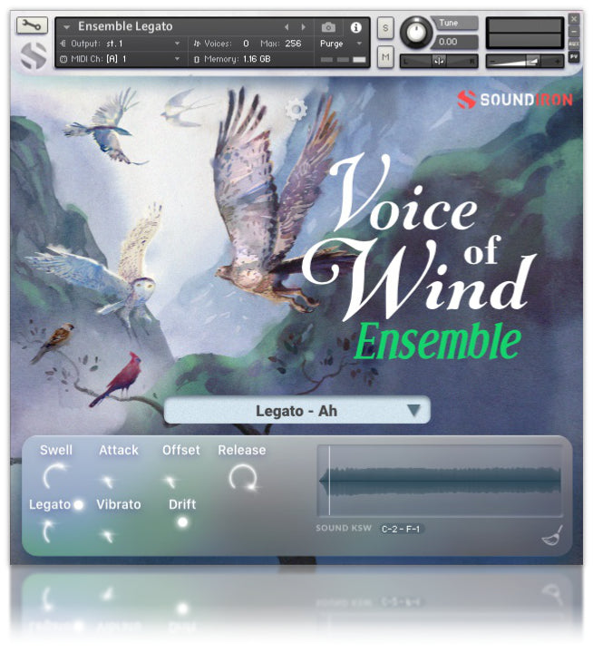 Voices of Wind Collection