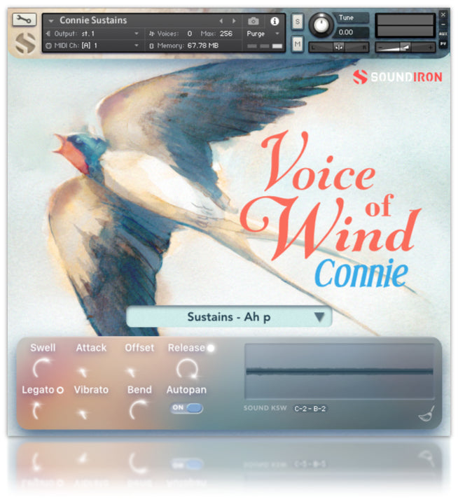 Voice of Wind: Connie