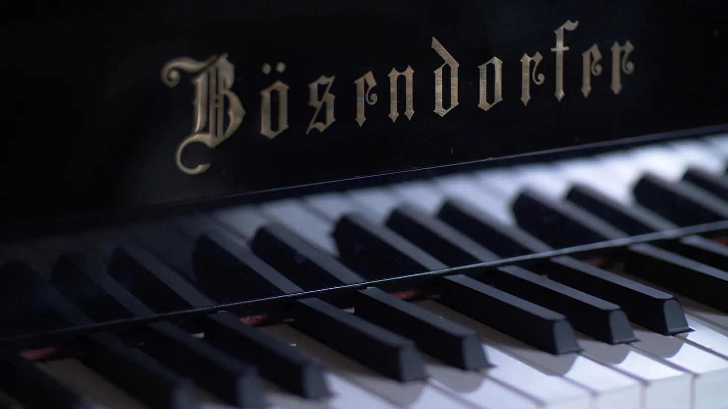 Synchron Bösendorfer Imperial (Standard Library)