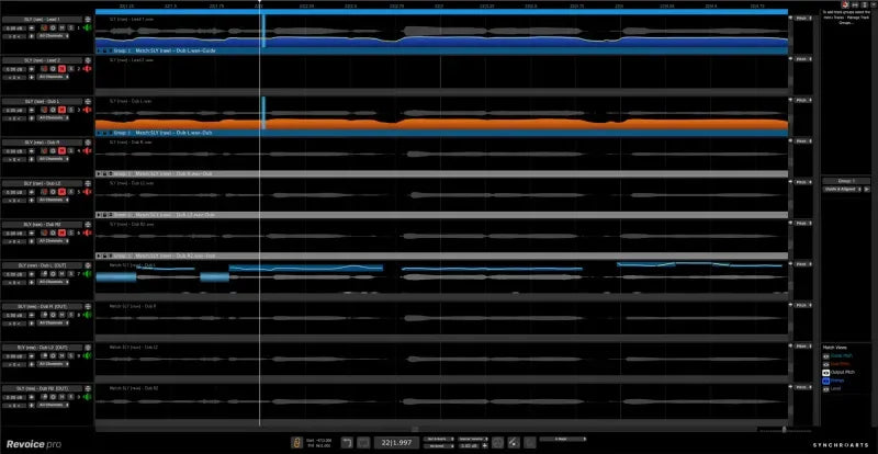 Revoice Pro 5 Upgrade