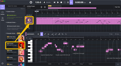 Ace Studio Artist Pro Lifetime