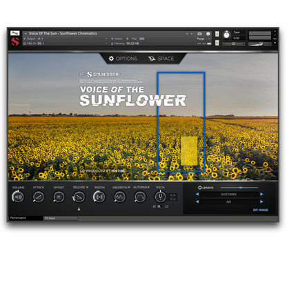 Voice of the Sun - Sunflower
