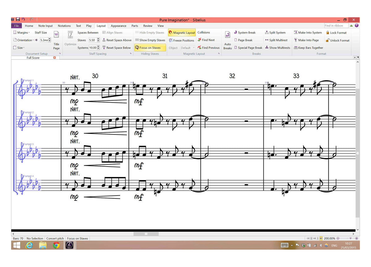 Sibelius Artist 1Y Subscription NEW