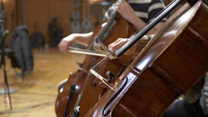 Big Bang Orchestra Strings