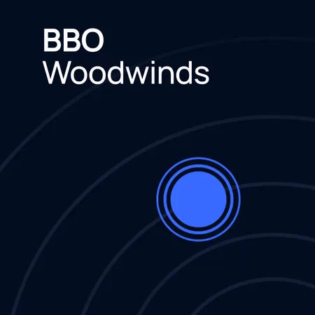 Big Bang Orchestra Woodwinds