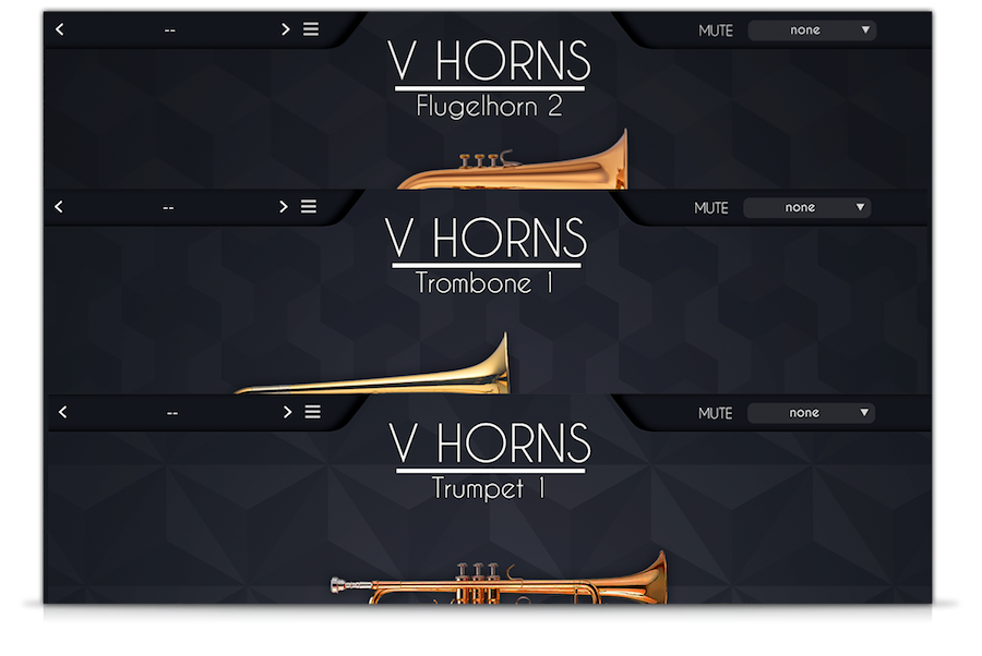 VHorns Brass Section