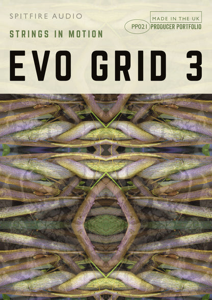 Evo Grid 3