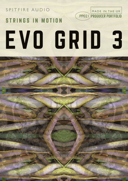 Evo Grid 3
