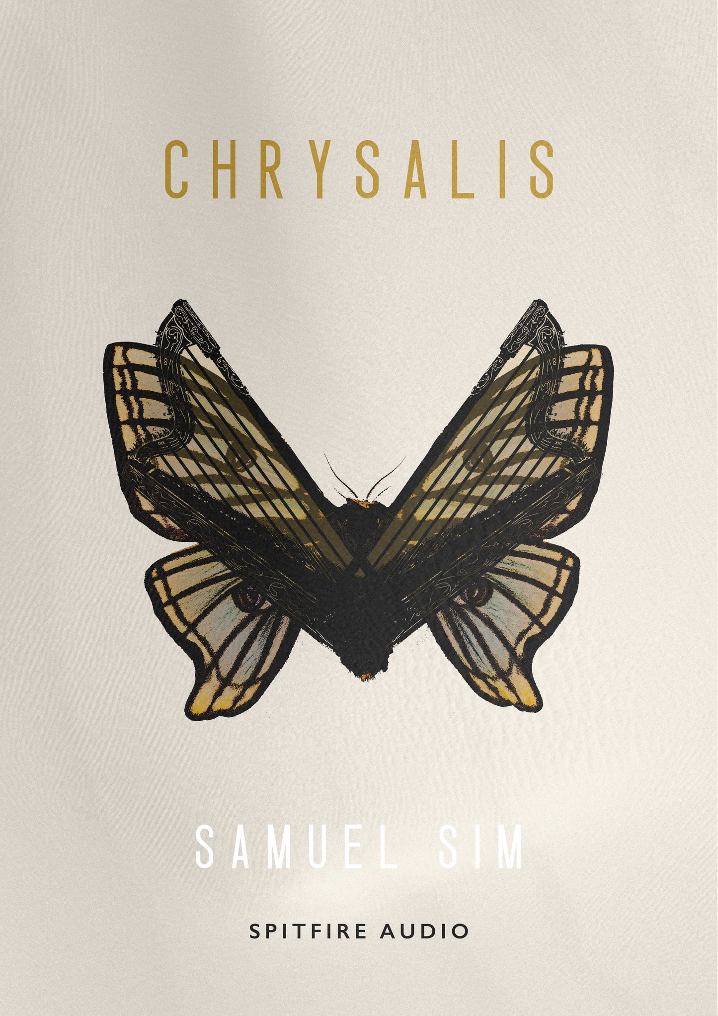 Samuel Sim — Chrysalis