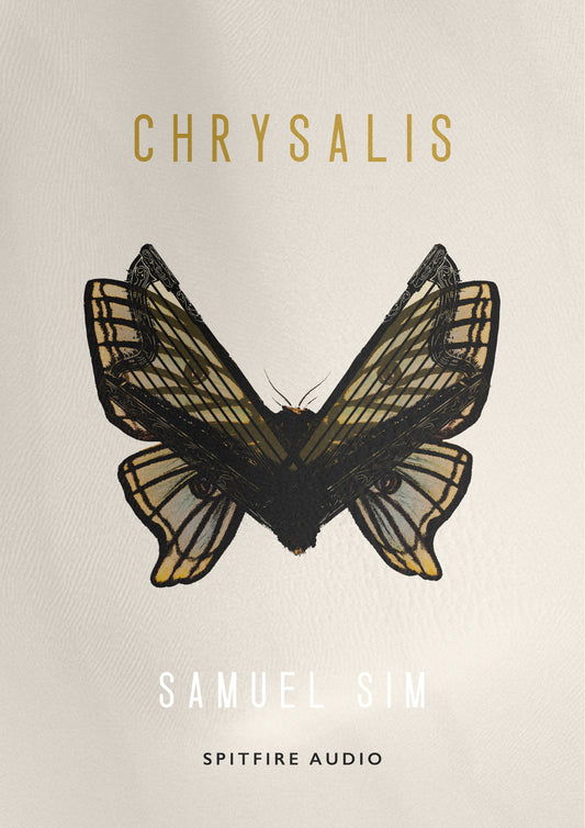 Samuel Sim — Chrysalis
