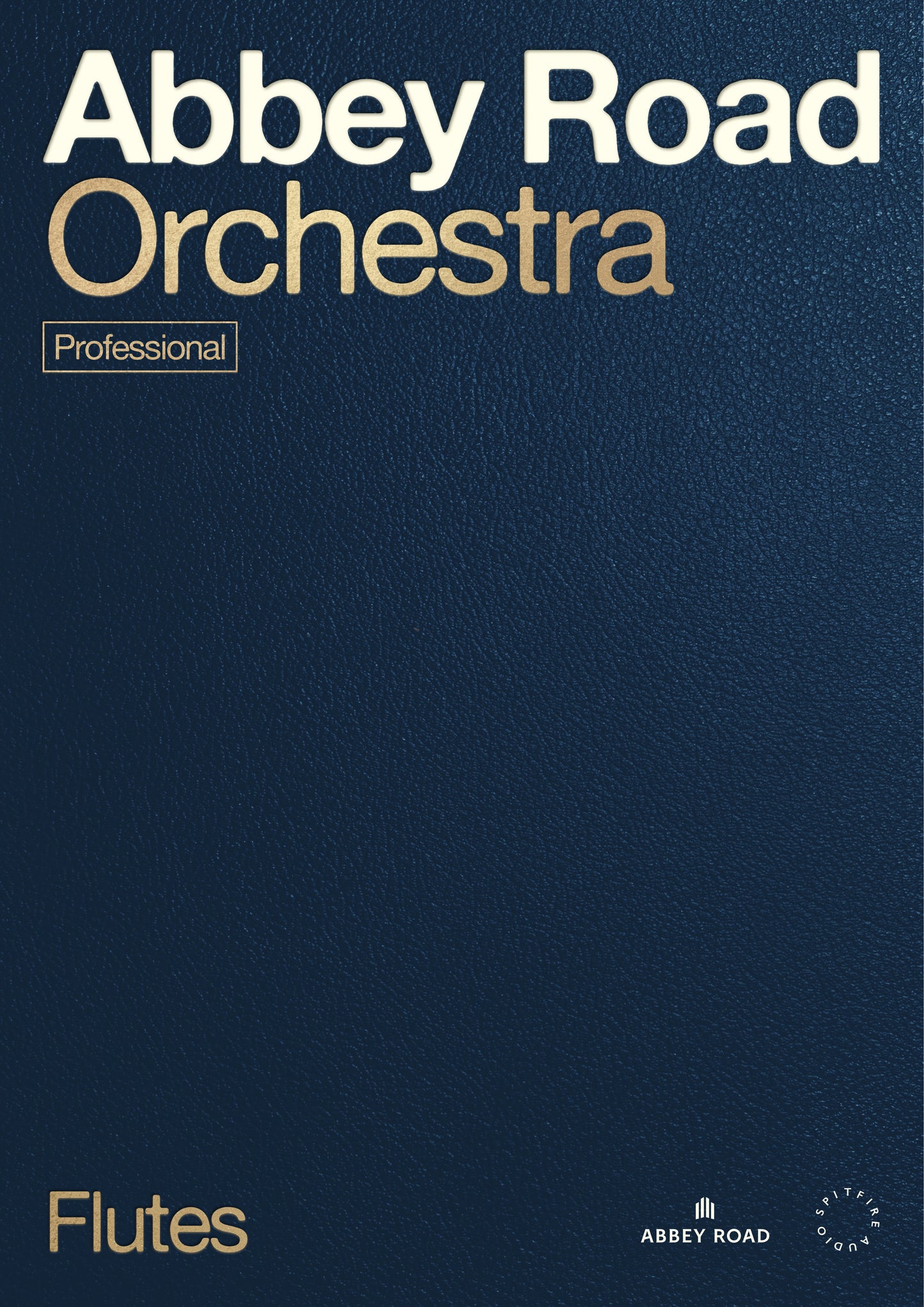 Abbey Road Orchestra: Flutes Professional