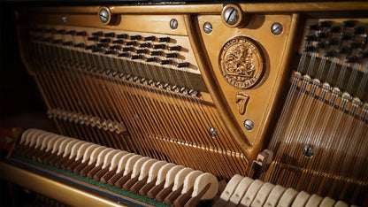Studio German Upright 1904