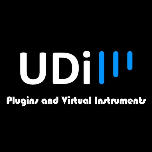 UDI AUDIO VIP Private Lesson