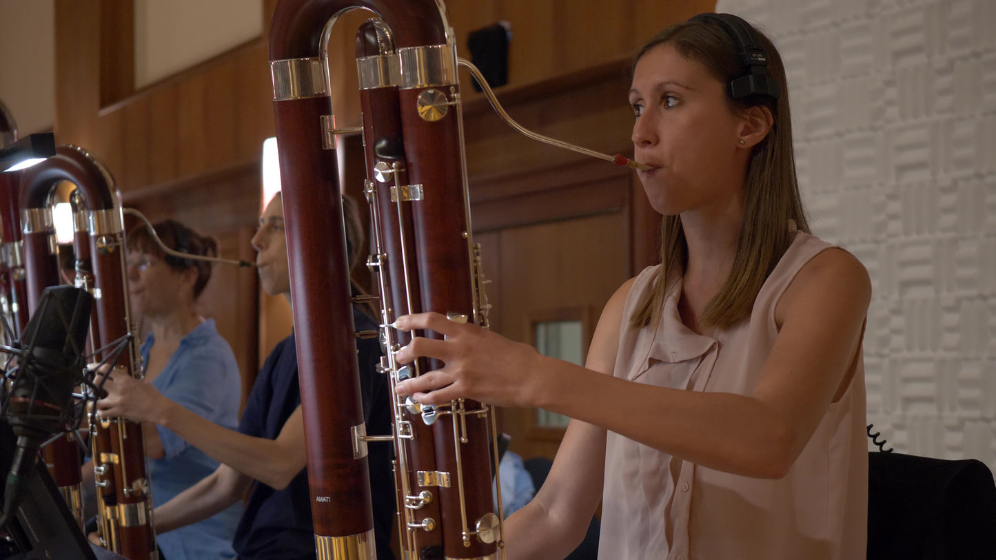 Big Bang Orchestra Woodwinds