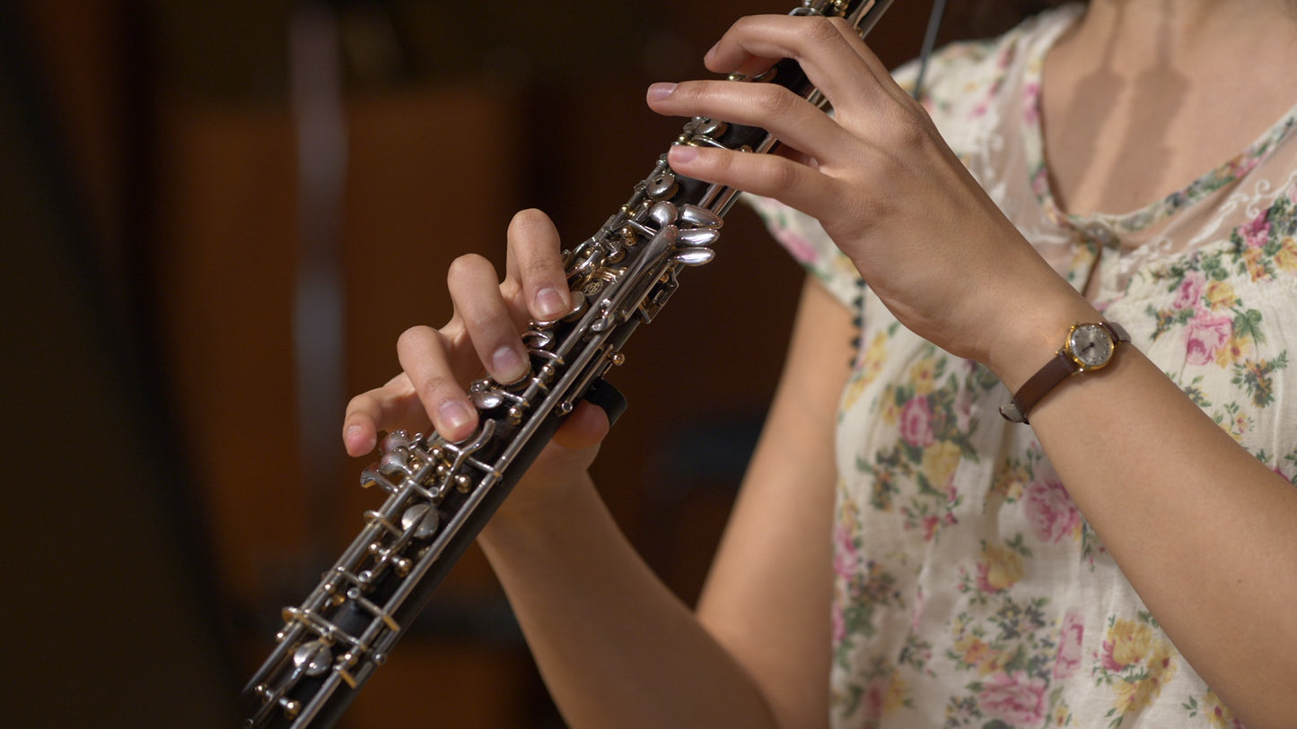 Big Bang Orchestra Woodwinds