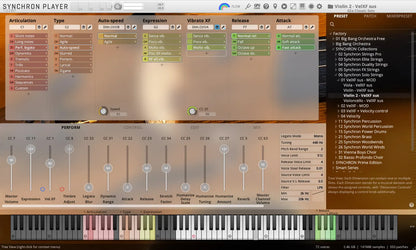 Synchron Solo Violin 2 (Standard Library)